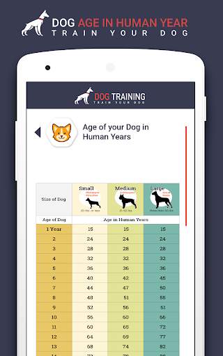 Home Dog Training: Family Pet Dog 12 تصوير الشاشة