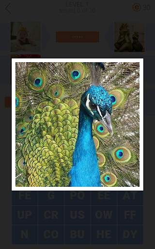 2 Photo Clues screenshot 8