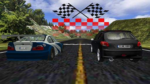 206 Driving Simulator screenshot 3