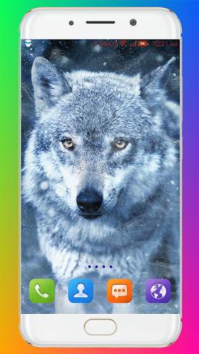 Wolf Wallpaper HD screenshot 3