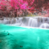 Tropical Live Wallpaper icon