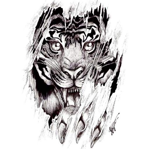 Amazing Tatoo Designs Ideas 1.0