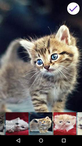 Cute Kitten Lock Screen 6 تصوير الشاشة