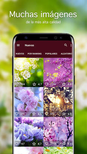 Fondos de pantalla de primavera PRO screenshot 1