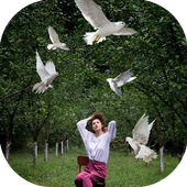 Bird Live Photo Editor иконка