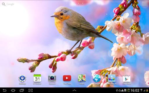 Flower Live Wallpaper screenshot 9