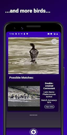 Bird Identifier - Find That Bird! स्क्रीनशॉट 3