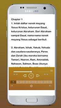 Alkitab suara bahasa indonesia(Audio) скриншот 2