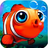 Fish Crush 6.4.25