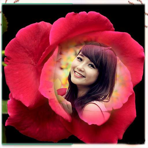 Rose Photo Frames 12