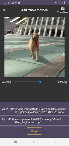 Pieo - Video Editor For Business screenshot 8
