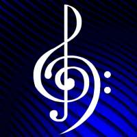 Bass Guitar Note Flash Cards