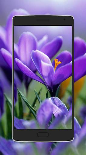 Flower Wallpaper screenshot 8