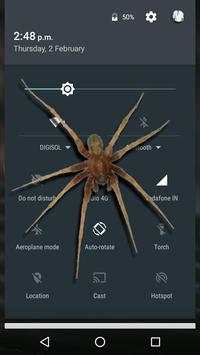 Spider On Screen - Funny Prank screenshot 2