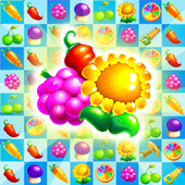 Fruit Jam Splash icon