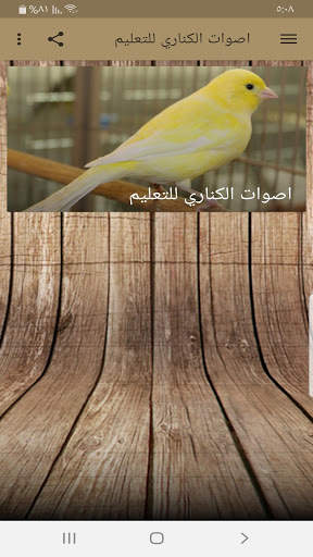 Canary sounds for education screenshot 1