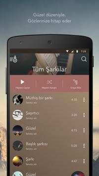 Solo Müzik Çalar screenshot 4