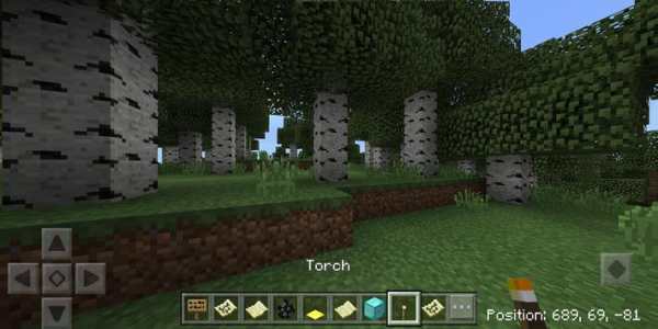 MOD Coordinates Addon screenshot 2