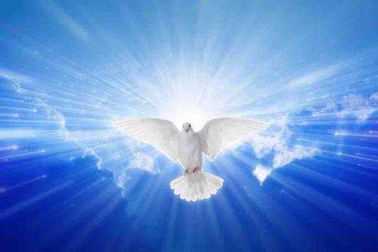 Jesus Wallpapers For Christian screenshot 8