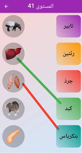 شاطر تعليم الكلمات والاشكال والالوان والحيوانات screenshot 5