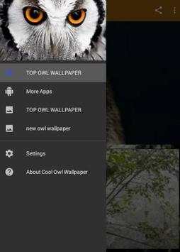Cool Owl Wallpaper скриншот 2