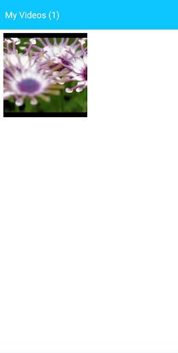 Video Status Trimmer screenshot 6