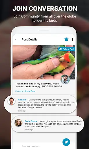 Birds Identifier App by Photo, Bird ID Camera 2020 screenshot 11