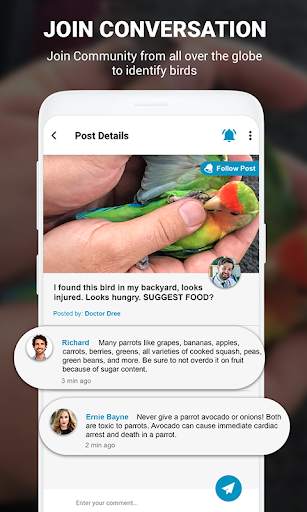 Birds Identifier App by Photo, Bird ID Camera 2020 screenshot 11