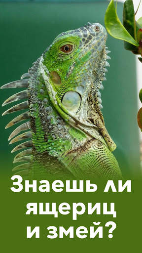 Животные - Все звери и птицы в тесте по зоологии! скриншот 3