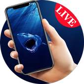 Dangerous shark catching up live wallpaper 1.0.1