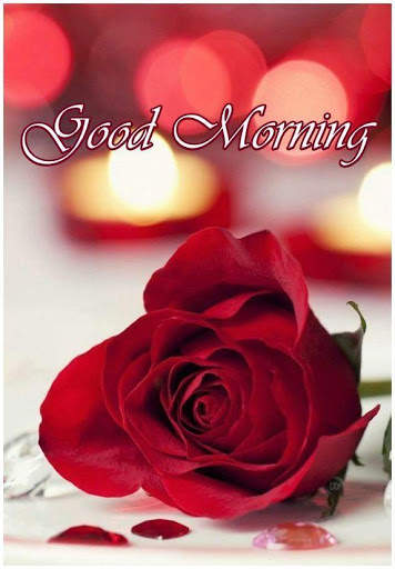 Good morning Flower Wallpapers Colorful Roses 4K screenshot 2