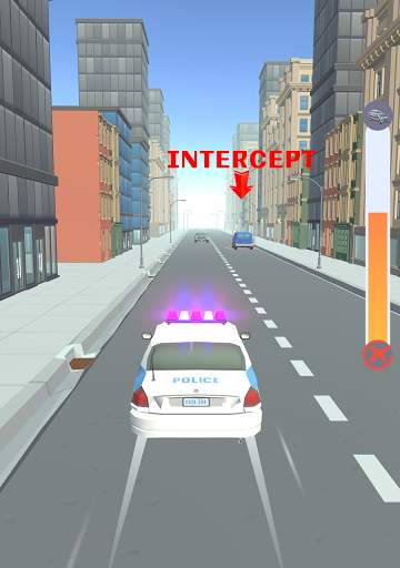 Accident Investigator screenshot 13