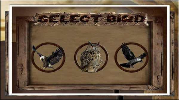 Birds Hunter African Safari screenshot 4