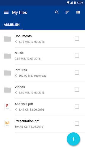 IONOS HiDrive screenshot 2