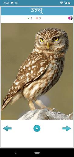 Learn Animals and Birds in Hin screenshot 5