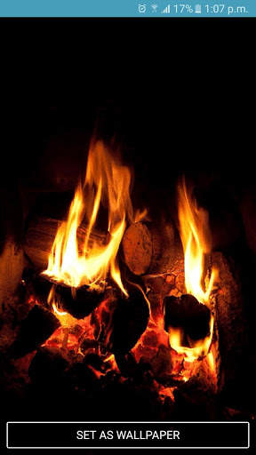 Bonfire Live Wallpaper screenshot 2