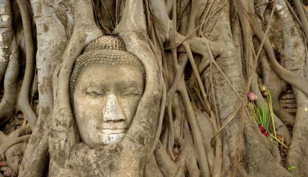 Buddhism - HD Wallpapers screenshot 4