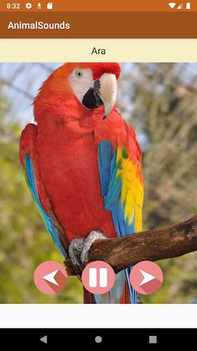 Animal Sounds 3D screenshot 5