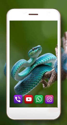 Snake Sounds Live Wallpaper screenshot 5