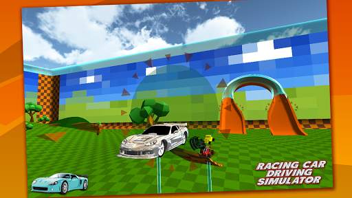 Multiplayer Racing Simulator screenshot 4