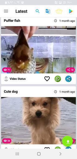 Status Video - Status Maker screenshot 7