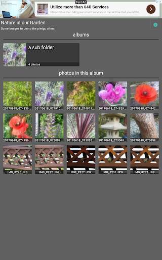 Piwigo Client - Free screenshot 14