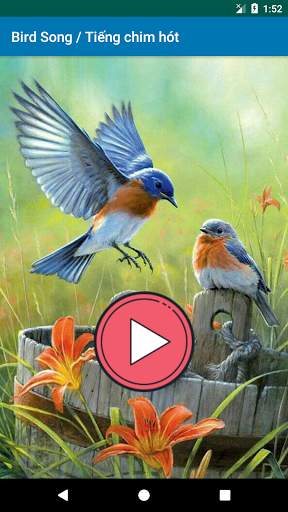 Bird Song / Tiếng Chim screenshot 1