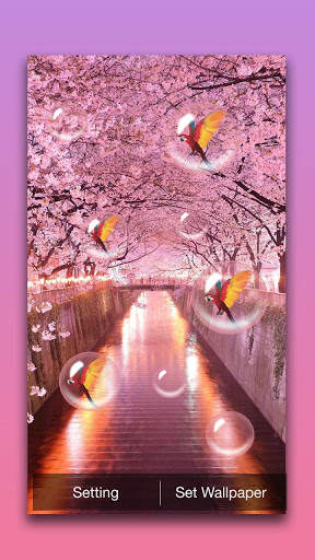 Sakura Live Wallpaper screenshot 3