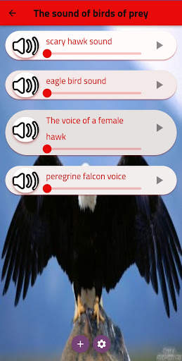 bird sound screenshot 4
