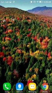 Landscapes Wallpapers HD Video screenshot 3