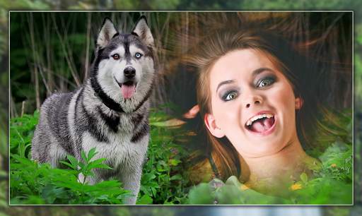 Wild Animals Photo Frames screenshot 5
