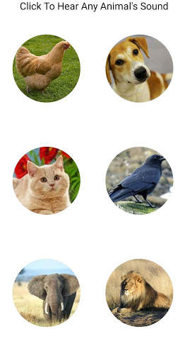 Funny Animal Sounds -By Rio screenshot 1
