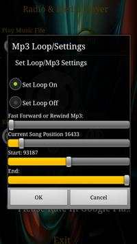 Mp3 Player/Digital Radio Player screenshot 5