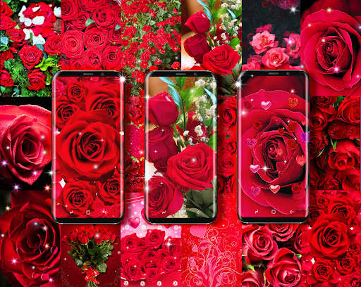 Red rose live wallpaper screenshot 1